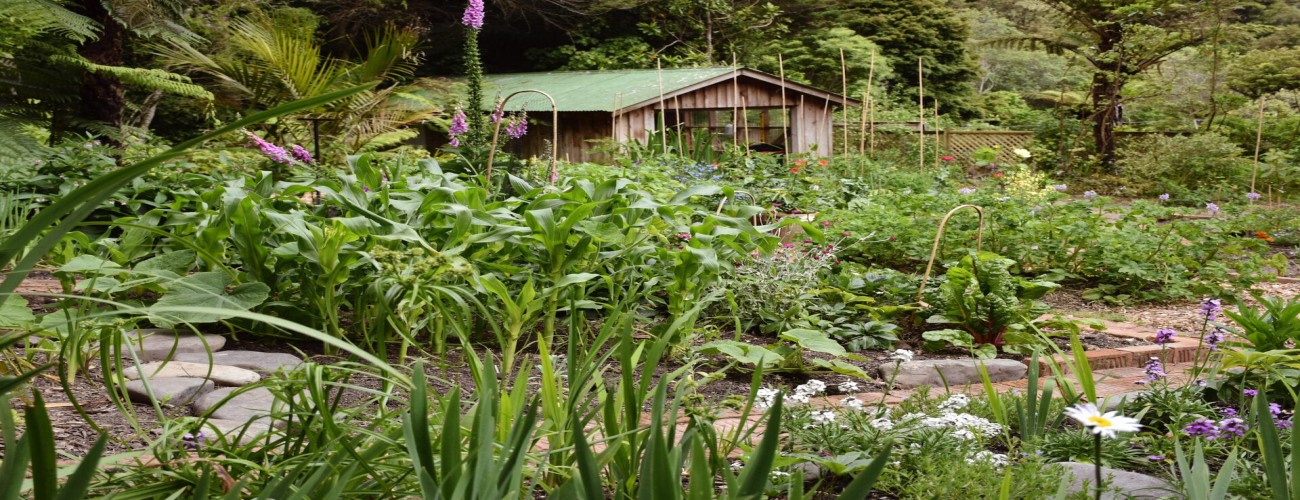 The Secret Gardens of New Zealand: A Floral Exploration