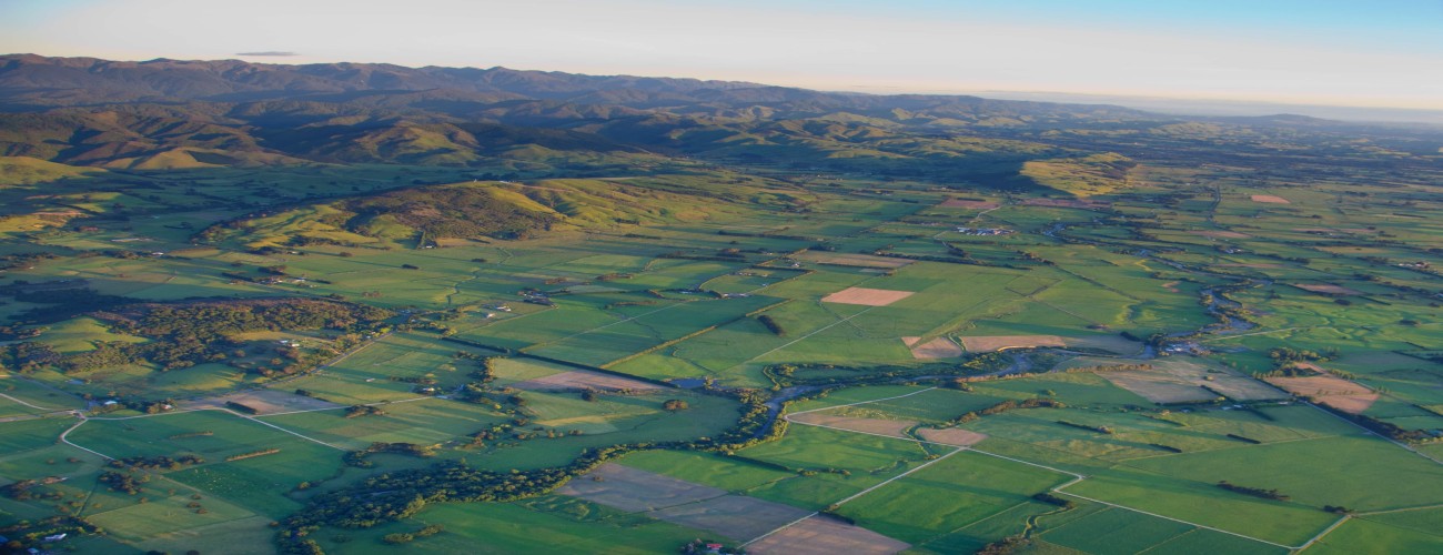 Discover the Wonders of Wairarapa: A Full Day Adventure from Wellington