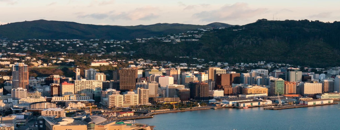 Wellington’s Best Day Trips: Explore Beyond the City