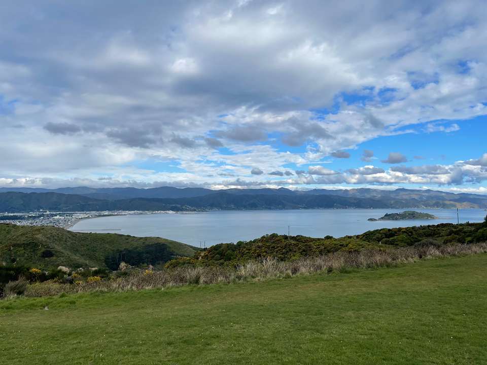 Wellington's Hidden Gems: Discover the City Like a Local